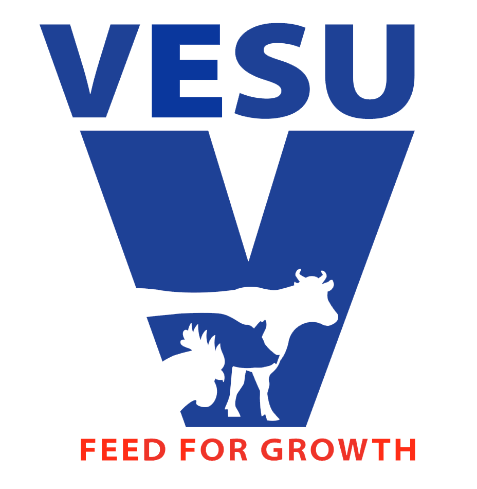 Vesu